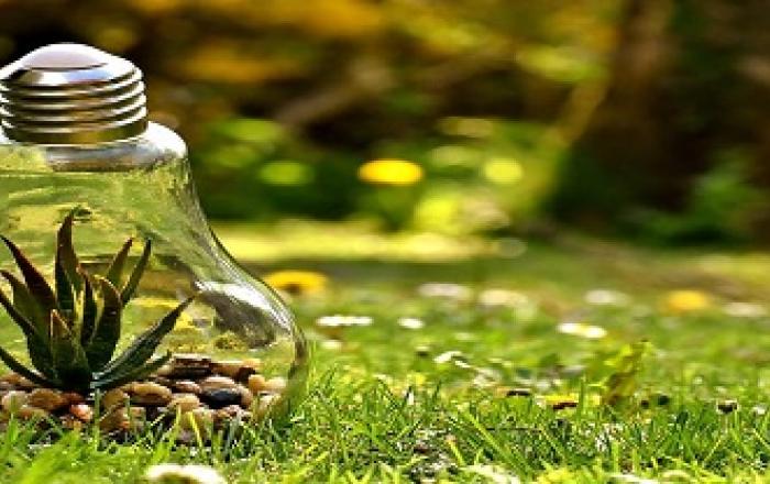 lampadina immersa nel verde con dentro una pianta