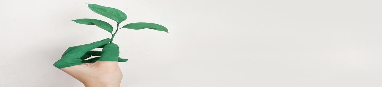 Mano che tiene un fiore